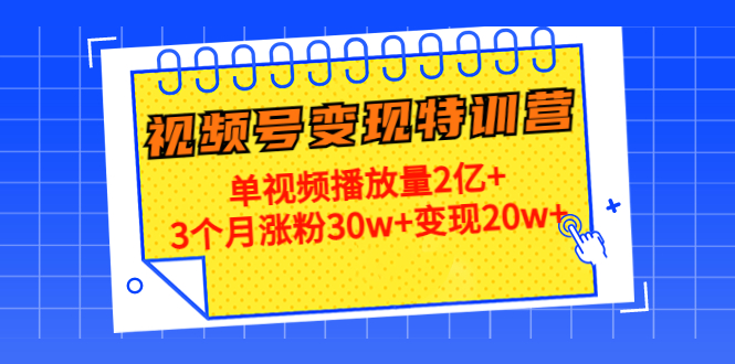 21天视频号变现特训营：单视频播放量2亿+3个月涨粉30w+变现20w+（第14期）-大兵轻创资源库