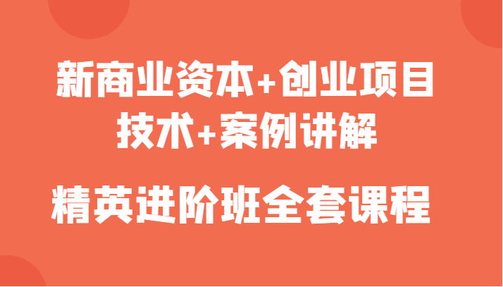 新商业资本+创业项目，技术+案例讲解，精英进阶班全套课程-大兵轻创资源库