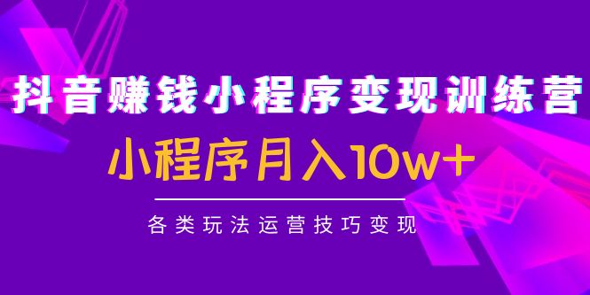 抖音赚钱小程序变现训练营：小程序月入10w+各类玩法运营技巧变现-大兵轻创资源库