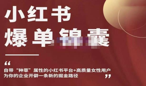 小红书爆单锦囊，自带种草属性+高质量女性用户，为你的企业开辟一条新的掘金路径-大兵轻创资源库