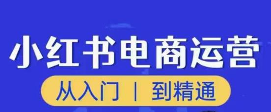 顽石小红书电商高阶运营课程，从入门到精通，玩法流程持续更新-大兵轻创资源库