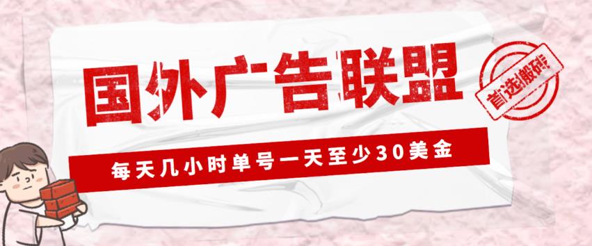 外面收费1980的最新国外LEAD广告联盟搬砖项目，单号一天至少30美金【详细玩法教程】-大兵轻创资源库