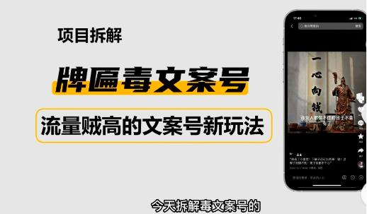 2023抖音快手毒文案新玩法，牌匾文案号，起号快易变现-大兵轻创资源库