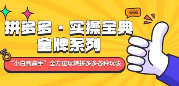 拼多多·实操宝典：金牌系列“小白到高手”带你全方位玩转拼多多各种玩法-大兵轻创资源库