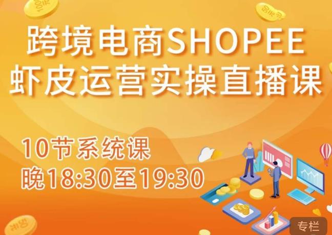 跨境电商Shopee虾皮运营实操直播课，从零开始学，入门到精通（10节系统课）-大兵轻创资源库