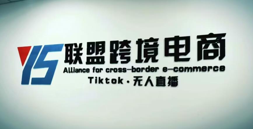 YS联盟·Tiktok无人直播，不出镜不剪辑不拍摄不发货无售后的跨境短视频躺赚玩法-大兵轻创资源库