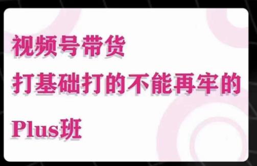 大播汇·视频号带货Puls班，视频号底层逻辑，起号自然流鱼塘等玩法-大兵轻创资源库