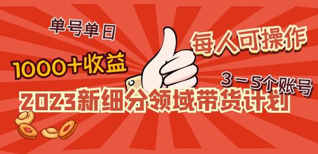 2023新细分领域带货计划：单号单日1000+收益不难，每人可操作3-5个账号-大兵轻创资源库