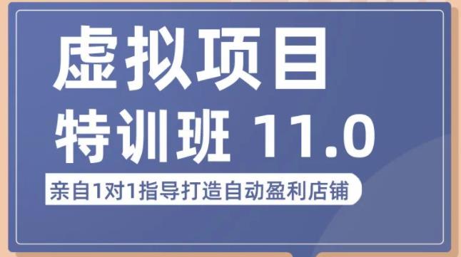 陆明明·虚拟项目特训班（10.0+11.0），0成本获取虚拟素材，0基础打造自动盈利店铺-大兵轻创资源库