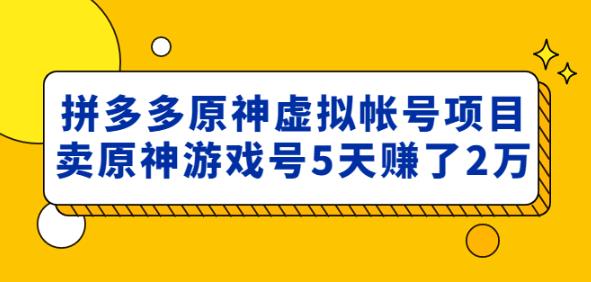 外面卖2980的拼多多原神虚拟帐号项目：卖原神游戏号5天赚了2万-大兵轻创资源库