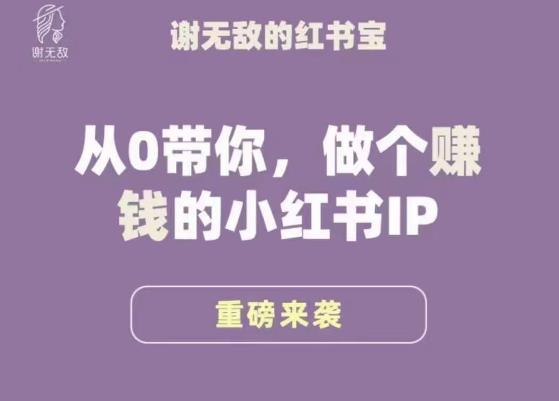 谢无敌·小红书运营大宝典，从0带你做个赚钱的小红书IP-大兵轻创资源库
