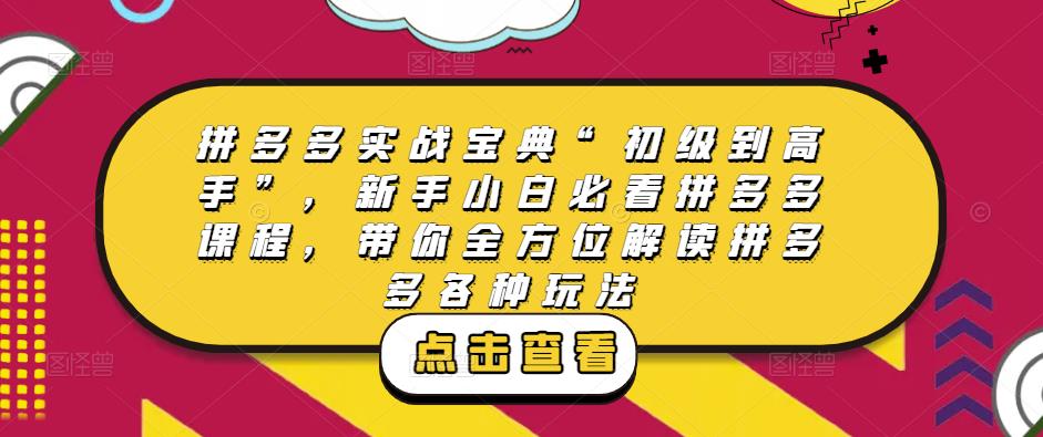 拼多多实战宝典“初级到高手”，新手小白必看拼多多课程，带你全方位解读拼多多各种玩法-大兵轻创资源库