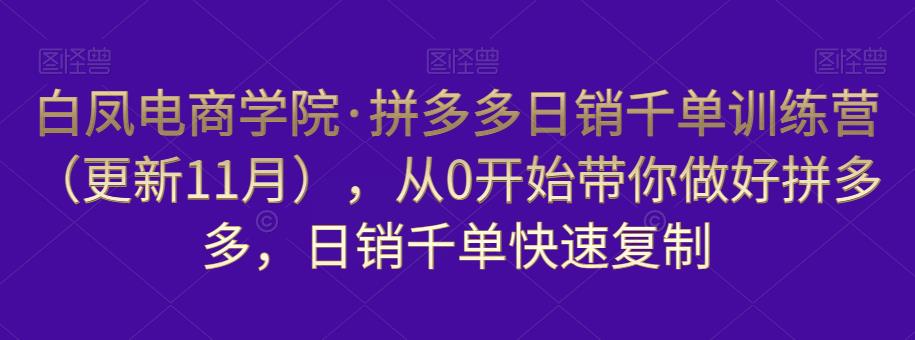 白凤电商学院·拼多多日销千单训练营，从0开始带你做好拼多多，日销千单快速复制（更新知2023年3月）-大兵轻创资源库