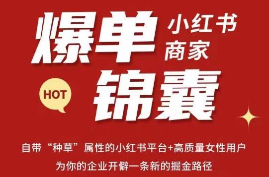 无畏·小红书商家爆单锦囊，掌握小红书各大规则，快速精准抢占行业和市场-大兵轻创资源库