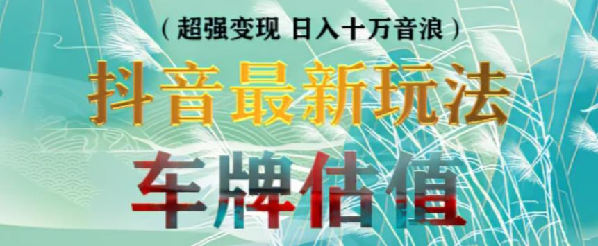 抖音最新无人直播变现直播车牌估值玩法项目，轻松日赚几百+【详细玩法教程】-大兵轻创资源库