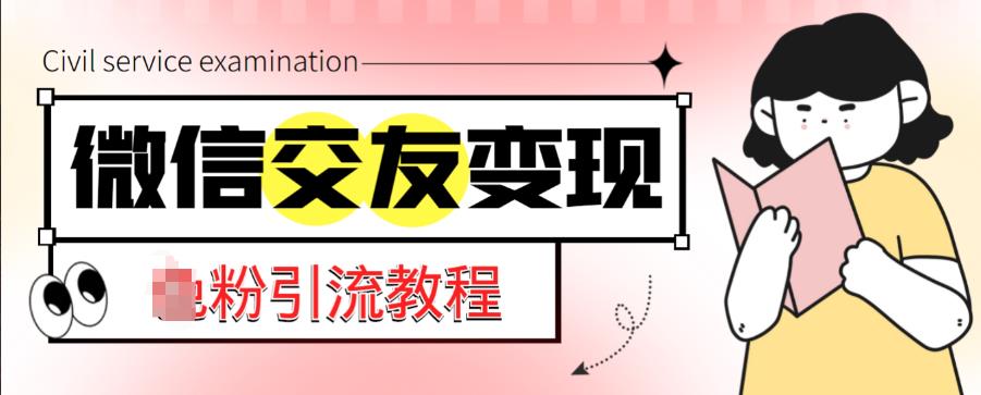 微信交友变现项目，吸引全网LSP男粉精准变现，小白也能轻松上手，日入500+-大兵轻创资源库