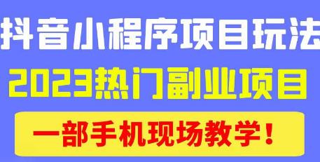 抖音小程序9.0新技巧，2023热门副业项目，动动手指轻松变现-大兵轻创资源库