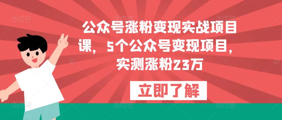 公众号涨粉变现实战项目课，5个公众号变现项目，实测涨粉23万-大兵轻创资源库
