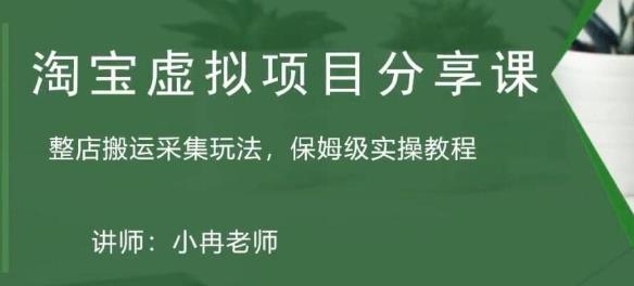 淘宝虚拟整店搬运采集玩法分享课：整店搬运采集玩法，保姆级实操教程-大兵轻创资源库