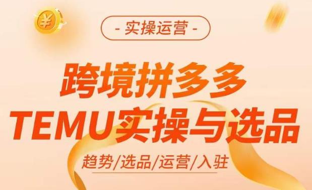 跨境拼多多TEMU实操与选品，​掌握平台运营方法技巧，选品避坑12条标准，爆款的底层思路等-大兵轻创资源库