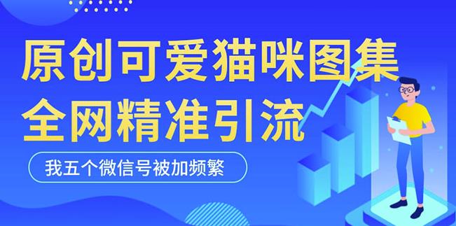 黑科技纯原创可爱猫咪图片，全网精准引流，实操5个VX号被加频繁-大兵轻创资源库