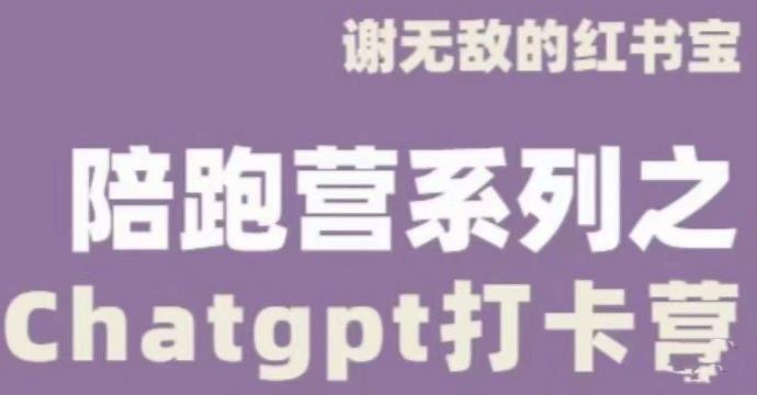 谢无敌ChatGPT打卡营，教你更好地使用ChatGPT来提高工作效率-大兵轻创资源库