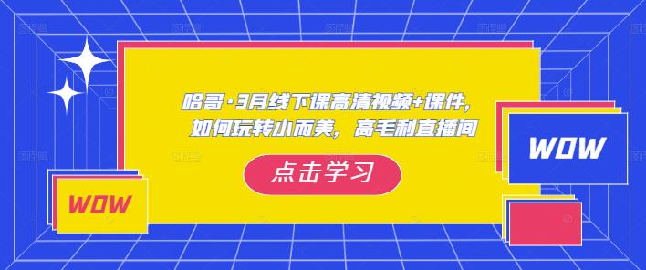 哈哥·3月线下实操课高清视频+课件，如何玩转小而美，高毛利直播间-大兵轻创资源库