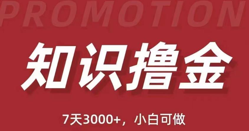 抖音知识撸金项目：简单粗暴日入1000+执行力强当天见收益(教程+资料)-大兵轻创资源库