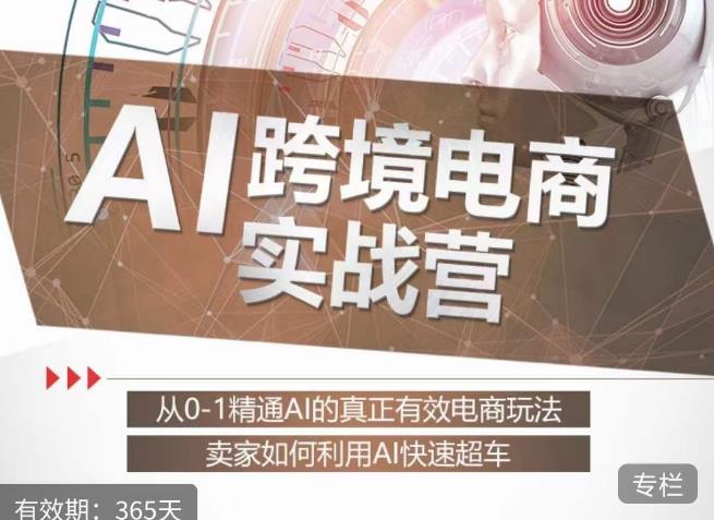 白龙老师·AI跨境电商实战营：从0-1精通Al的真正有效电商玩法，卖家如何利用Al快速超车-大兵轻创资源库