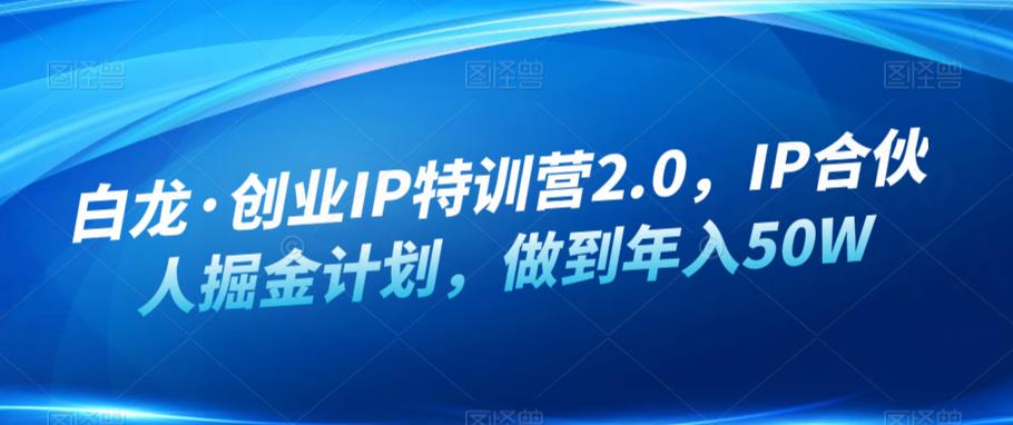 白龙·创业IP特训营2.0，IP合伙人掘金计划，做到年入50W-大兵轻创资源库