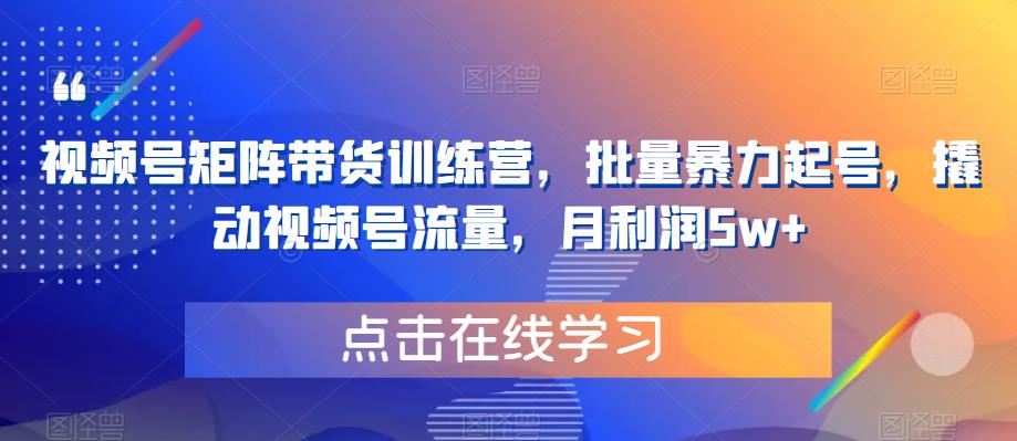 视频号矩阵带货训练营，批量暴力起号，撬动视频号流量，月利润5w+-大兵轻创资源库