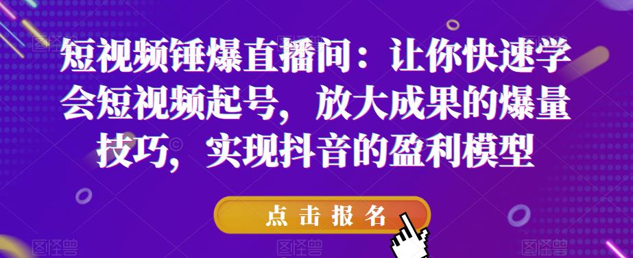 短视频锤爆直播间：让你快速学会短视频起号，放大成果的爆量技巧，实现抖音的盈利模型-大兵轻创资源库