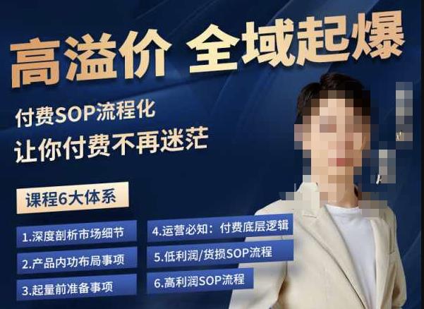 逸风-拼多多高溢价全域起爆，6大课程体系，付费玩法全套实操-大兵轻创资源库