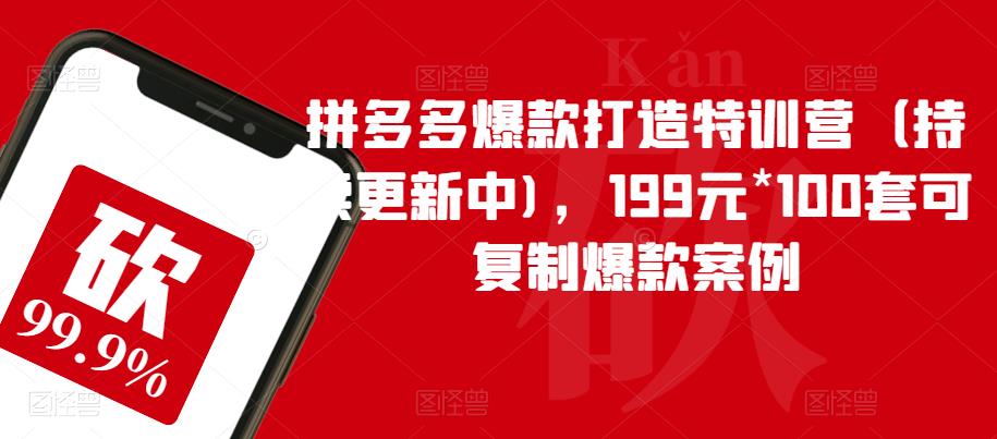 拼多多爆款打造特训营（持续更新中)，199元*100套可复制爆款案例-大兵轻创资源库