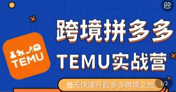 大鹏出海·拼多多跨境temu运营指导，开店注册+选品+核价上架，日出千单实战课-大兵轻创资源库
