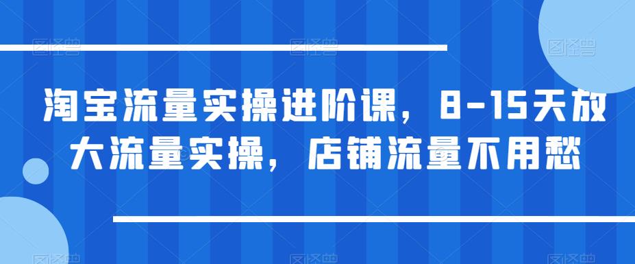 淘宝流量实操进阶课，8-15天放大流量实操，店铺流量不用愁-大兵轻创资源库