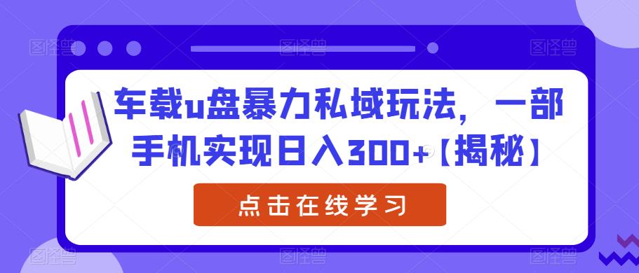 车载u盘暴力私域玩法，一部手机实现日入300+【揭秘】-大兵轻创资源库