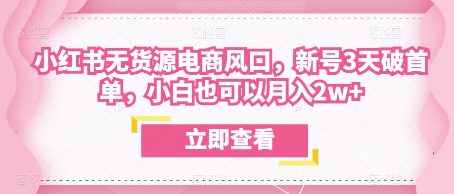 众狼电商余文小红书无货源电商风口，新号3天破首单，小白也可以月入2w+-大兵轻创资源库
