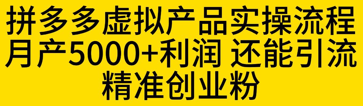 拼多多虚拟产品实操流程，月产5000+利润，还能引流精准创业粉【揭秘】-大兵轻创资源库