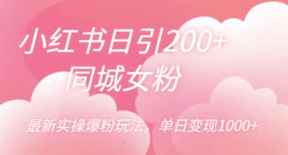 小红书日引200+同城女粉，最新实操爆粉玩法，单日变现1000+【揭秘】-大兵轻创资源库