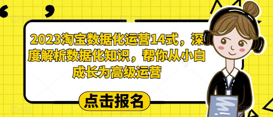 2023淘宝数据化运营14式，深度解析数据化知识，帮你从小白成长为高级运营-大兵轻创资源库
