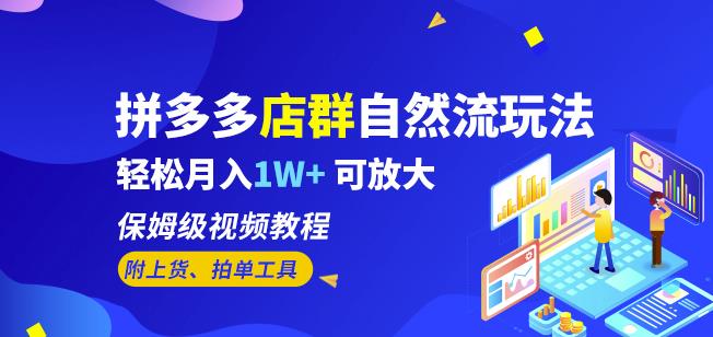 拼多多店群自然流玩法，轻松月入1W+保姆级视频教程（附上货、拍单工具）-大兵轻创资源库