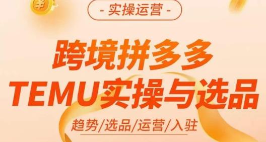 伍跃·跨境拼多多TEMU实操与选品，​趋势/选品/运营/入住（27节完整）-大兵轻创资源库