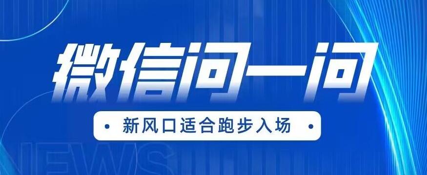 全网首发微信问一问新风口变现项目（价值1999元）【揭秘】-大兵轻创资源库