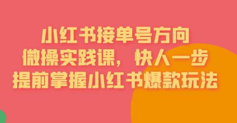 接单号方向·小红书微操实践课，快人一步，提前掌握小红书爆款玩法-大兵轻创资源库