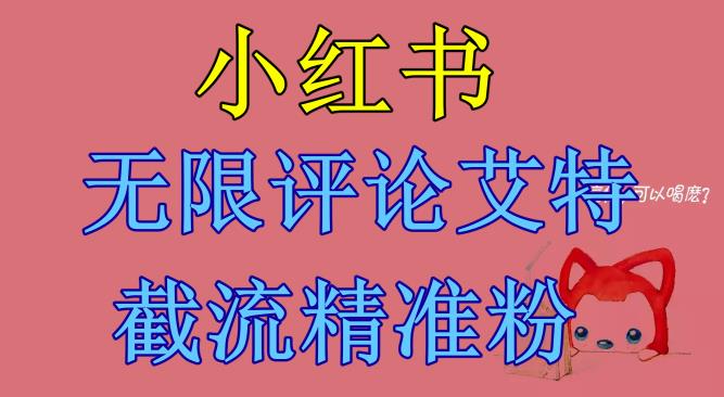 小红书无限评论艾特截流精准粉（软件+教程）-大兵轻创资源库
