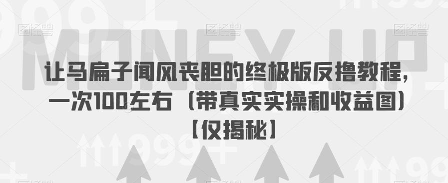 让马扁子闻风丧胆的终极版反撸教程，一次100左右（带真实实操和收益图）【仅揭秘】-大兵轻创资源库