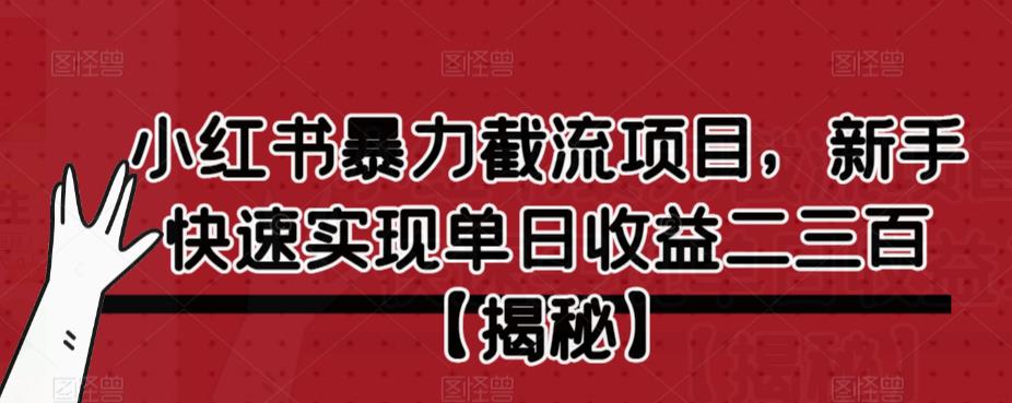 小红书暴力截流项目，新手快速实现单日收益二三百【仅揭秘】-大兵轻创资源库