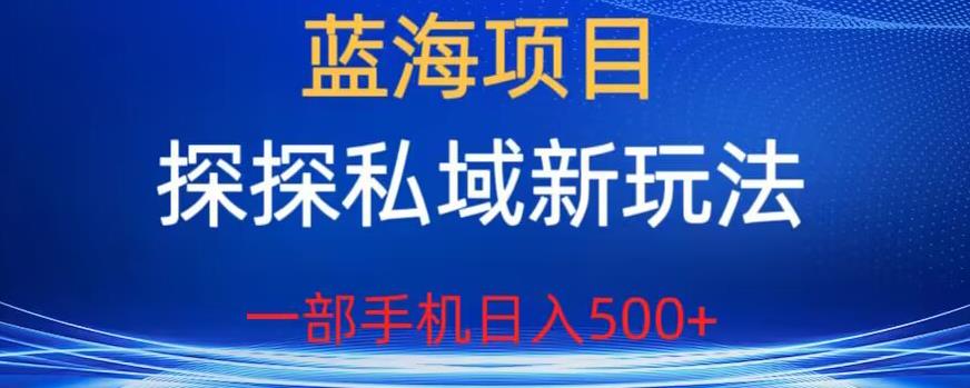 蓝海项目，探探私域新玩法，一部手机日入500+很轻松【揭秘】-大兵轻创资源库