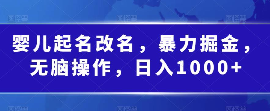 婴儿起名改名，暴力掘金，无脑操作，日入1000+【揭秘】-大兵轻创资源库